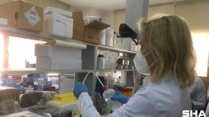 Korona virüsle mücadelede ilaç hamlesi: Faz- 2 çalışması tamamlandı