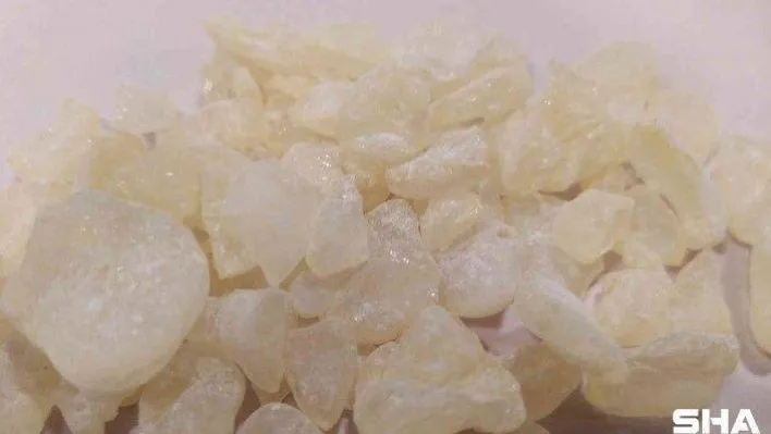 (Özel) Bir zamanlar çam sakızı, çoban armağanıydı, şimdi kilosu 3 bin 500 lira