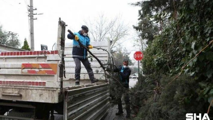 (Özel) Bursa'da budanan ağaçların atıkları toprağa geri dönüyor