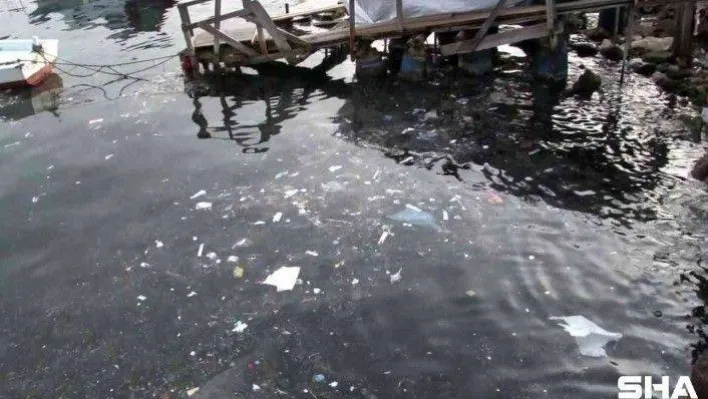 Sarıyer Sahili'ne balık tutmak için gelen vatandaşlar şoke oldu