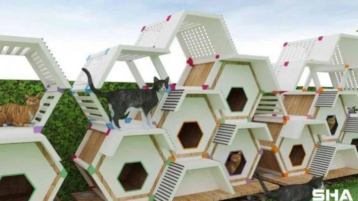 Sokak hayvanları için kedi ve köpek evleri tasarlandı