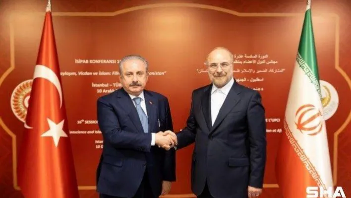 TBMM Başkanı Şentop, İran İslami Danışma Meclisi Başkanı Mohammad Bagher Ghalibafve  ile bir araya geldi