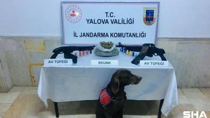 ''Venüs'' tespit etti, 847 gram uyuşturucu ele geçirildi