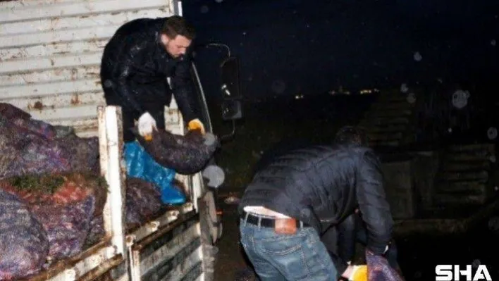 Yalova'da 8 ton kaçak avlanan midye denize bırakıldı