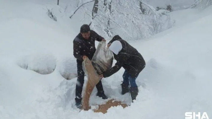 Yalova'da av ve yaban hayvanları için ormana yem bırakıldı