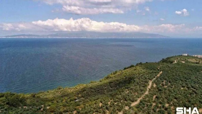 Yeniden temiz bir Marmara için 'deniz çalıştayı'