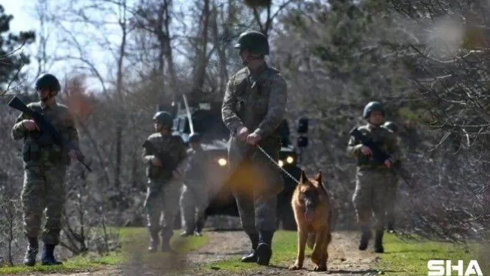 Yunanistan'a yasa dışı yollarla geçmeye çalışan 9 kişi yakalandı