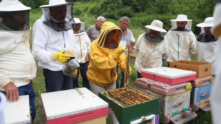 2022'de meslek ve sanat eğitimlerine damga vurdular