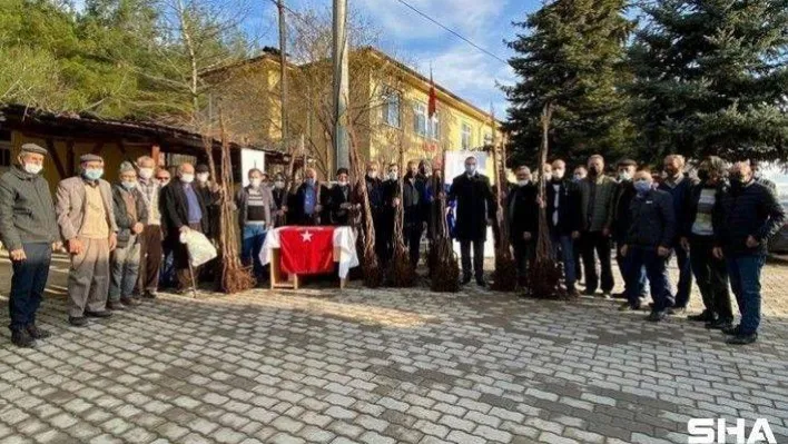 Bilecik'te 5 bin adet sertifikalı ceviz fidanı dağıtıldı