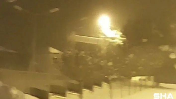 Bursa'da aç kalan tilkiler yemek aramak için şehir merkezine indi