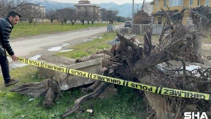Bursa'da tarihi lahit parçalanmış halde yol kenarında bulundu