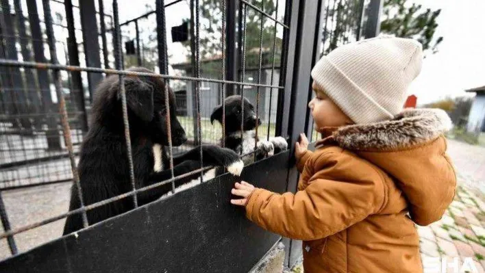 Can dostlara hem şifa, hem sıcak yuva