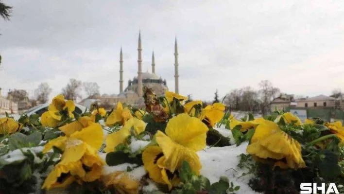 Edirne'de nehirler, yollar ve süs havuzları buz tuttu