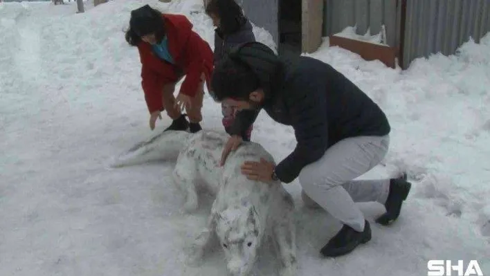 Eşinin yaptığı kardan adamı beğenmedi, ortaya şaheser çıkarttı