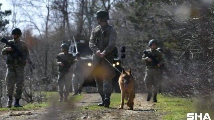 FETÖ ve PKK üyeleri, Yunan sınırında yakalandı