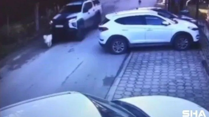 Göz göre göre köpeği ezmişti, o sürücü yakalandı