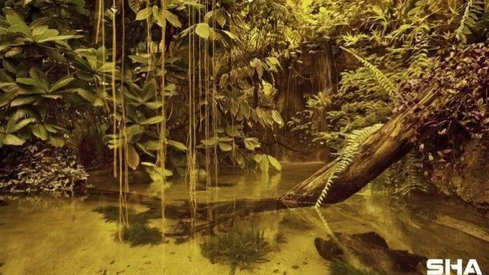 İstanbul Akvaryum'dan sömestr tatiline özel öğretici etkinlikler