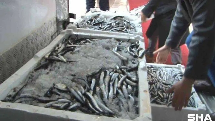 Kar bereketiyle geldi, hamsi fiyatları yarıya düştü