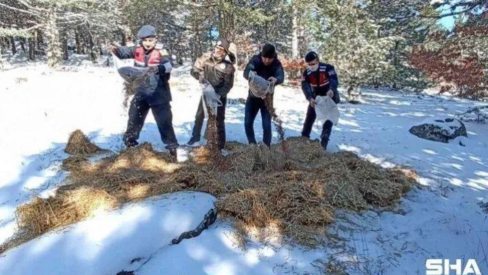 Karla kaplı Kazdağları'na yaban hayvanları için yem bırakıldı