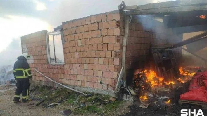 Kırklareli'nde ağıl yangını: 10 küçükbaş hayvan telef oldu