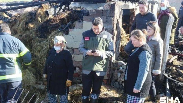 Kırklareli'nde ağılda çıkan yangında 156 hayvan telef oldu