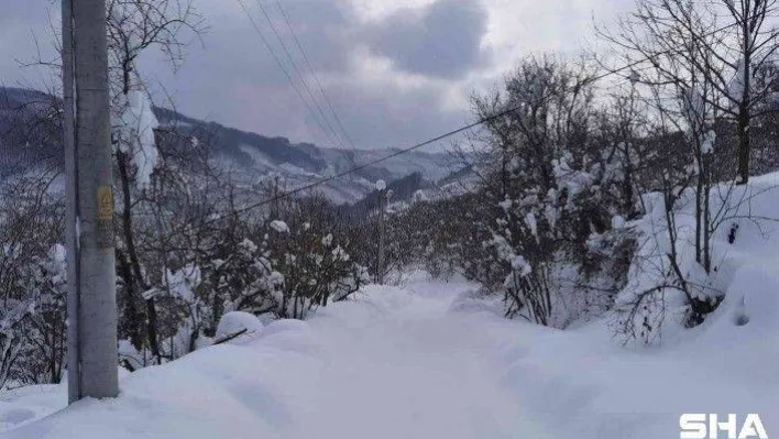 Mahallede kar 1.5 metreye ulaşınca muhtar vatandaşlara böyle seslendi