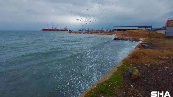 Marmara Denizi ulaşımına poyraz engeli: Çok sayıda tekne limana bağlandı