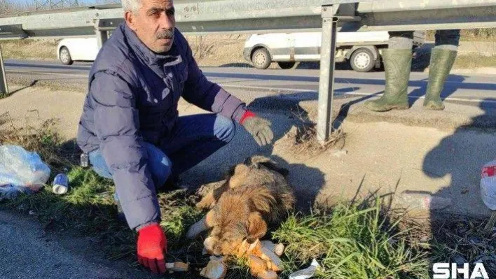 Ölmek üzereydi, ambulans şoförünün dikkati sayesinde kurtarıldı