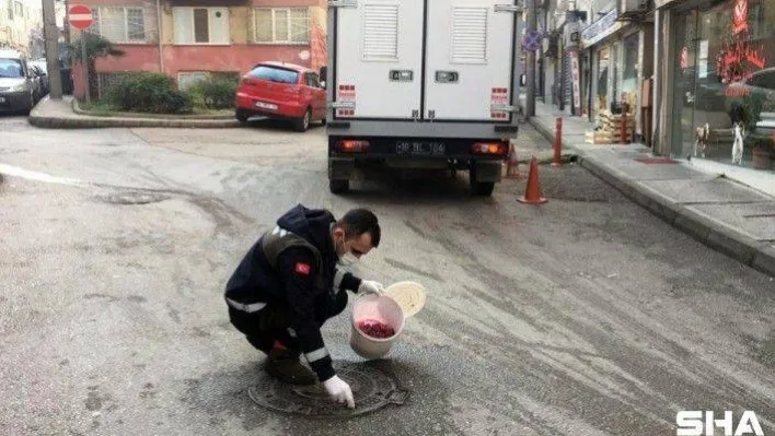 Osmangazi'de haşerelere karşı ilaçlama