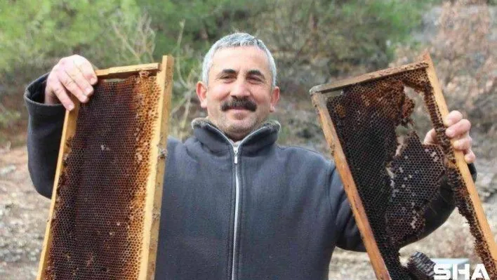 (ÖZEL) Ayını yaptığı uyanıklık adeta şapka çıkarttı