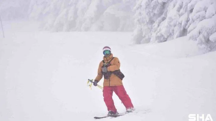 (Özel) Uludağ'da bu otele gelen hayvanlar 5 yıldızlı tatil yapıyor