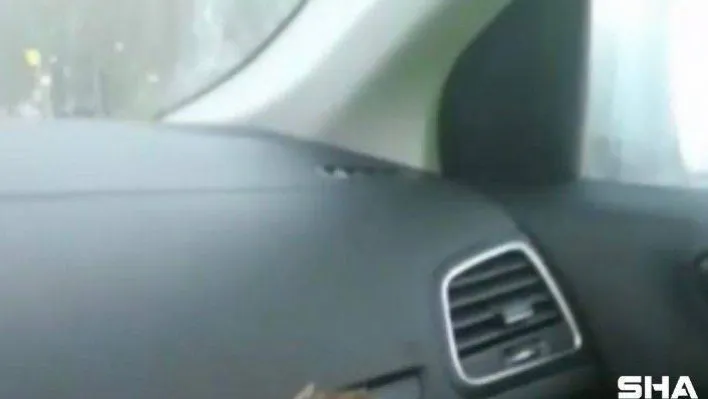 Soğukta donmak üzere olan kuşa polisten şefkat eli