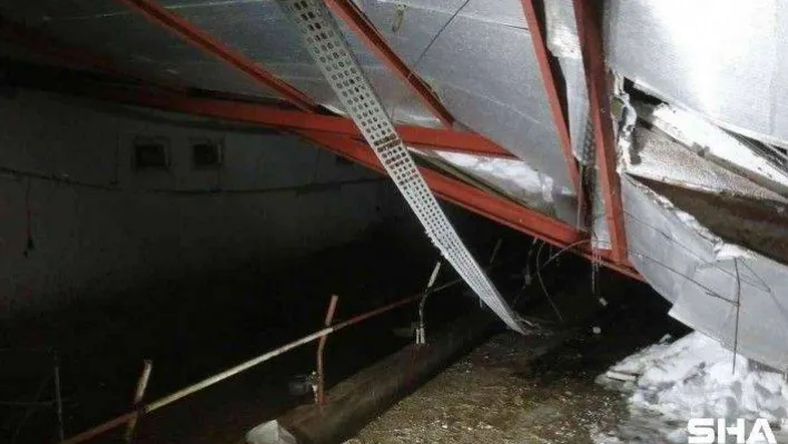 TARSİM: 'Üreticilere 92 milyon TL hasar ödemesi yapılacak'