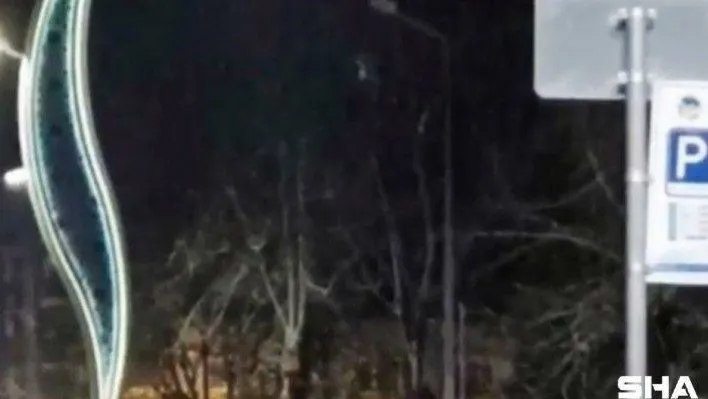 Yabancı uyruklu şahıslar cadde ortasında birbirine girdi