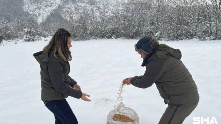 Yalova'da yaban ve av hayvanları için doğaya yem bırakıldı