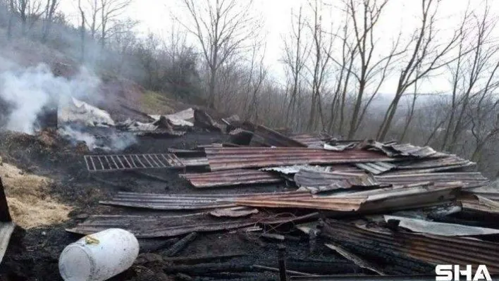 Ahırda korkutan yangın: 11 koyun telef olmaktan kurtarıldı