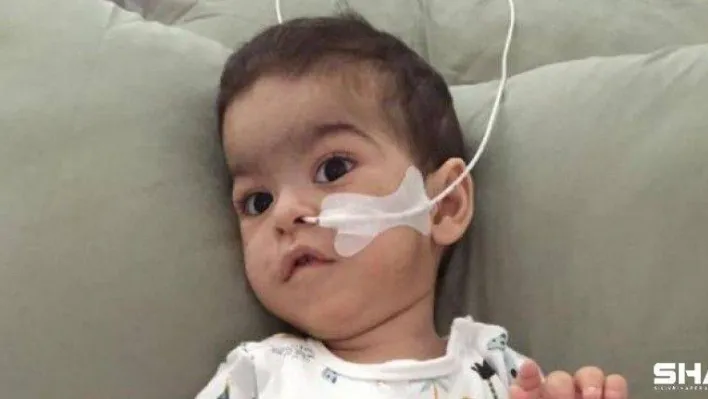 Aren Bebek için son bir gayret