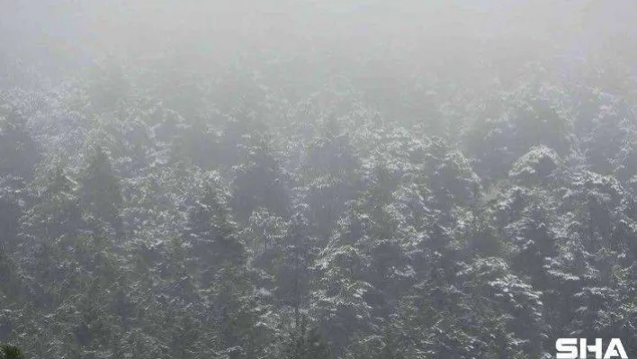 Aydos Ormanına yeniden kar yağmaya başladı