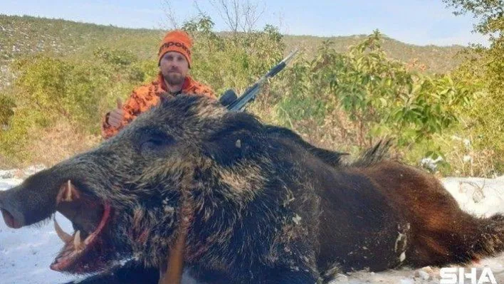 Bilecikli avcılar 160 kiloluk dev domuzu vurmak için büyük uğraş verdi