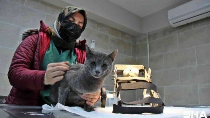 Bu merkezin Türkiye'de örneği yok