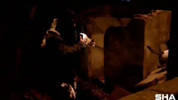 Çatı katında sıkışan kediyi itfaiye ekipleri kurtardı