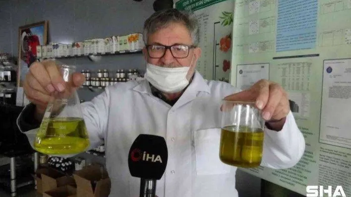 Dünyada ilk kez zeytinyağının apolarını polarından ayırdı