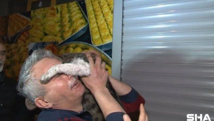 Esenler'de 3 katlı binanın çatısında çıkan yangında mahsur kalan kedi itfaiye ekipleri tarafından kurtarıldı