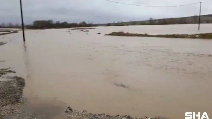 Hayrabolu'da dere taştı: 20 kuzu telef oldu