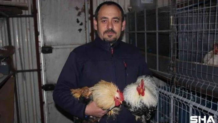 Hobi olarak başladığı ek işiydi, işsiz kalınca tek işi oldu