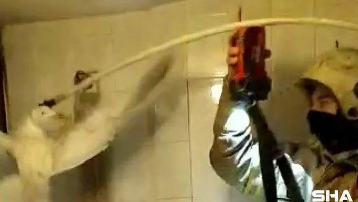 Kartal'da itfaiye ekiplerinden mahsur kalan martıyı kurtarma operasyonu