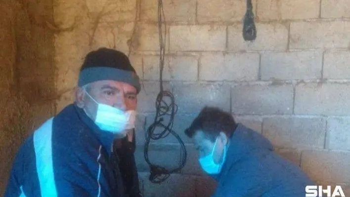 Kırklareli'nde hayvanlarda aşılama başladı