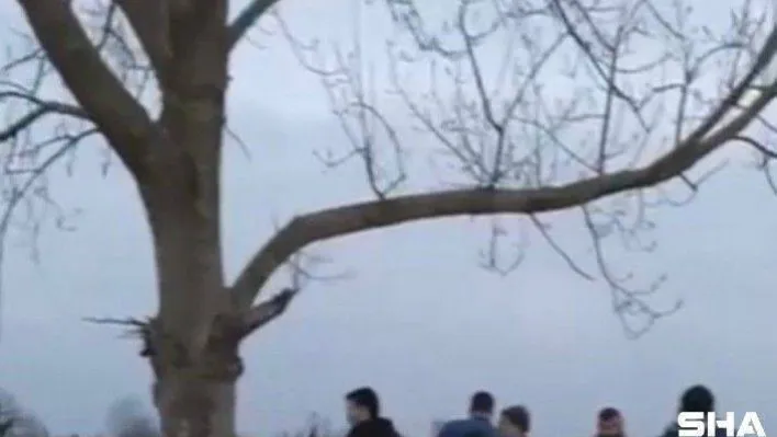 Kontrolden çıkan otomobil ağaca çarptı: 1'i ağır 3 yaralı