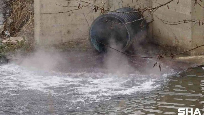 (Özel) Bursa'da dereler zehir akıyor, bu yıl da müsilaj tehdidi kapıda