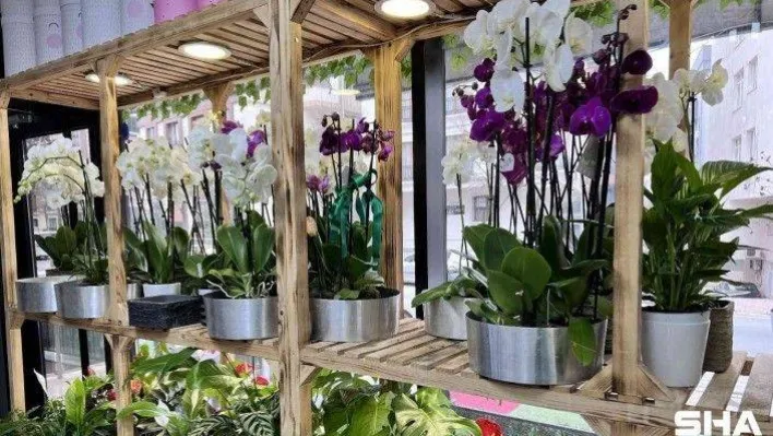 &quotSevgililer Günü'nde en ucuz gül 30 TL'den satılacak&quot